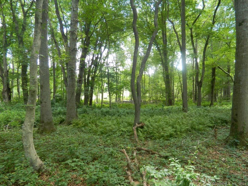 Photo 7 of 22 of 39 Buttonball Road land