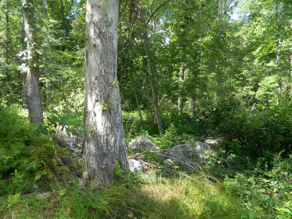 Photo 8 of 22 of 39 Buttonball Road land
