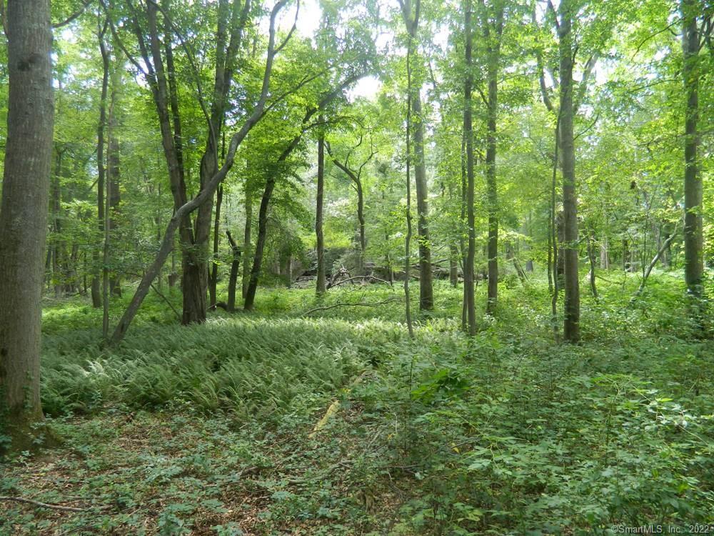 Photo 13 of 22 of 39 Buttonball Road land