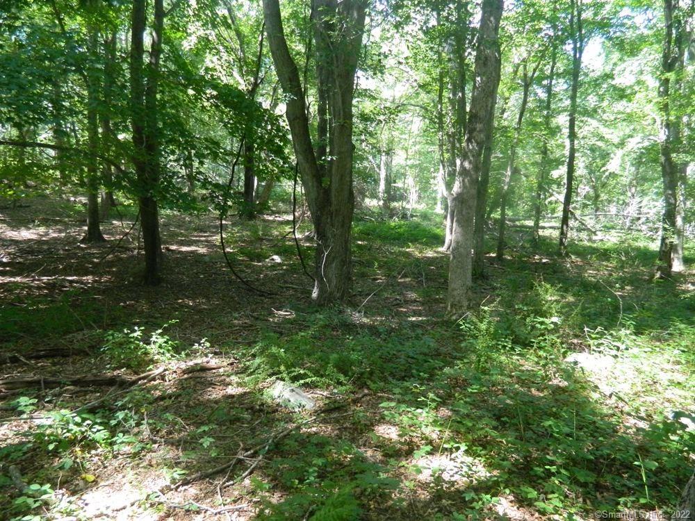 Photo 17 of 22 of 39 Buttonball Road land