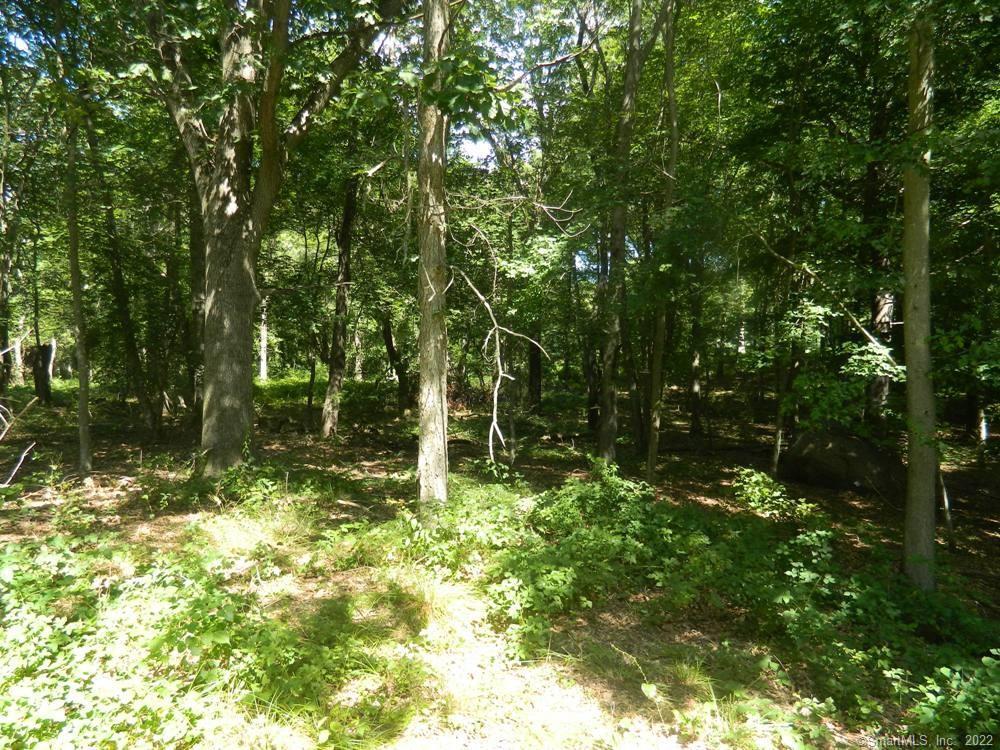 Photo 18 of 22 of 39 Buttonball Road land