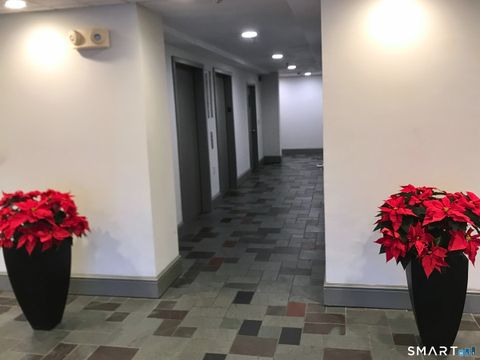 Tiny photo for 51 Schuyler Avenue #APT 5C, Stamford, CT 06902 (MLS # 24155569)