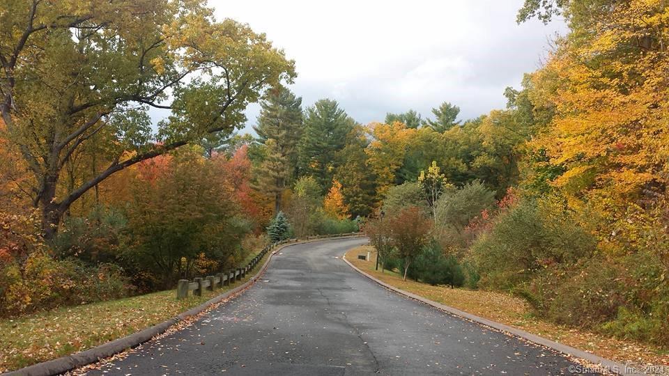 81 Belvedere (Monterrey) Drive