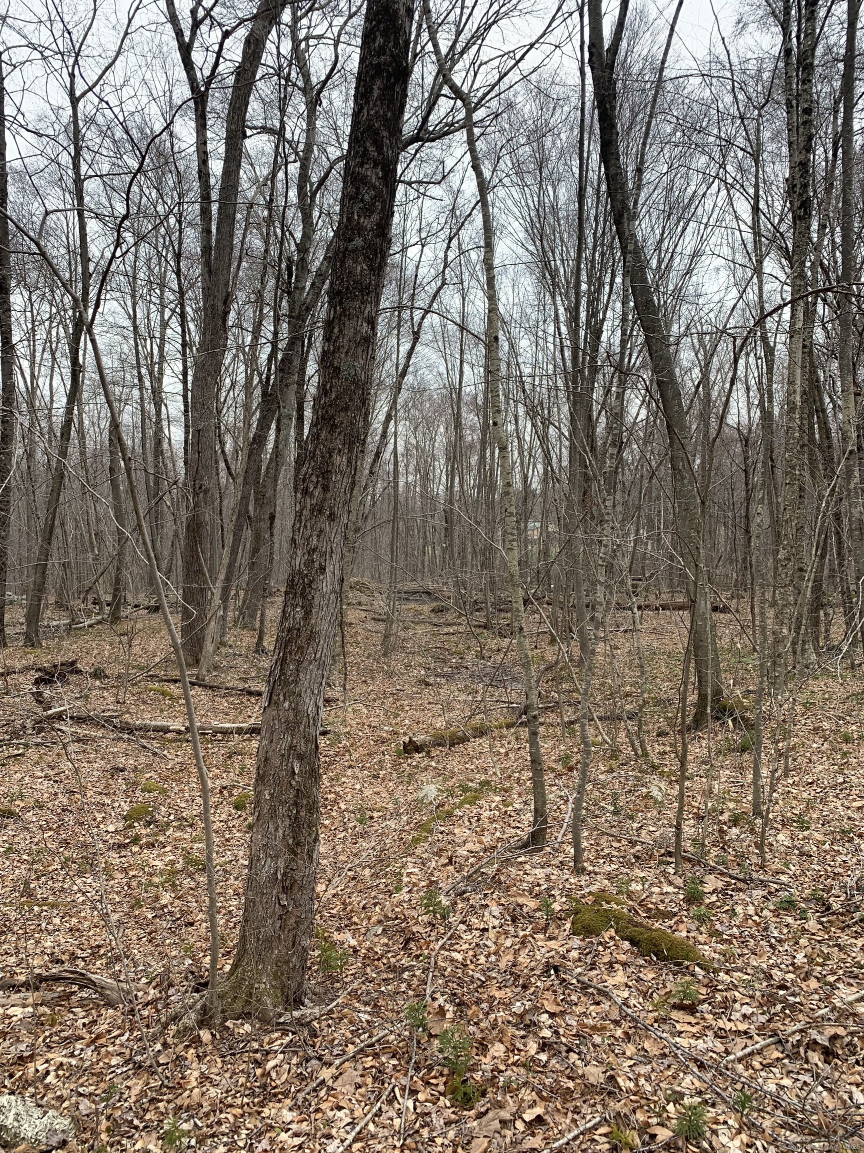 Crystal Lake Road, Ellington, Connecticut image 5