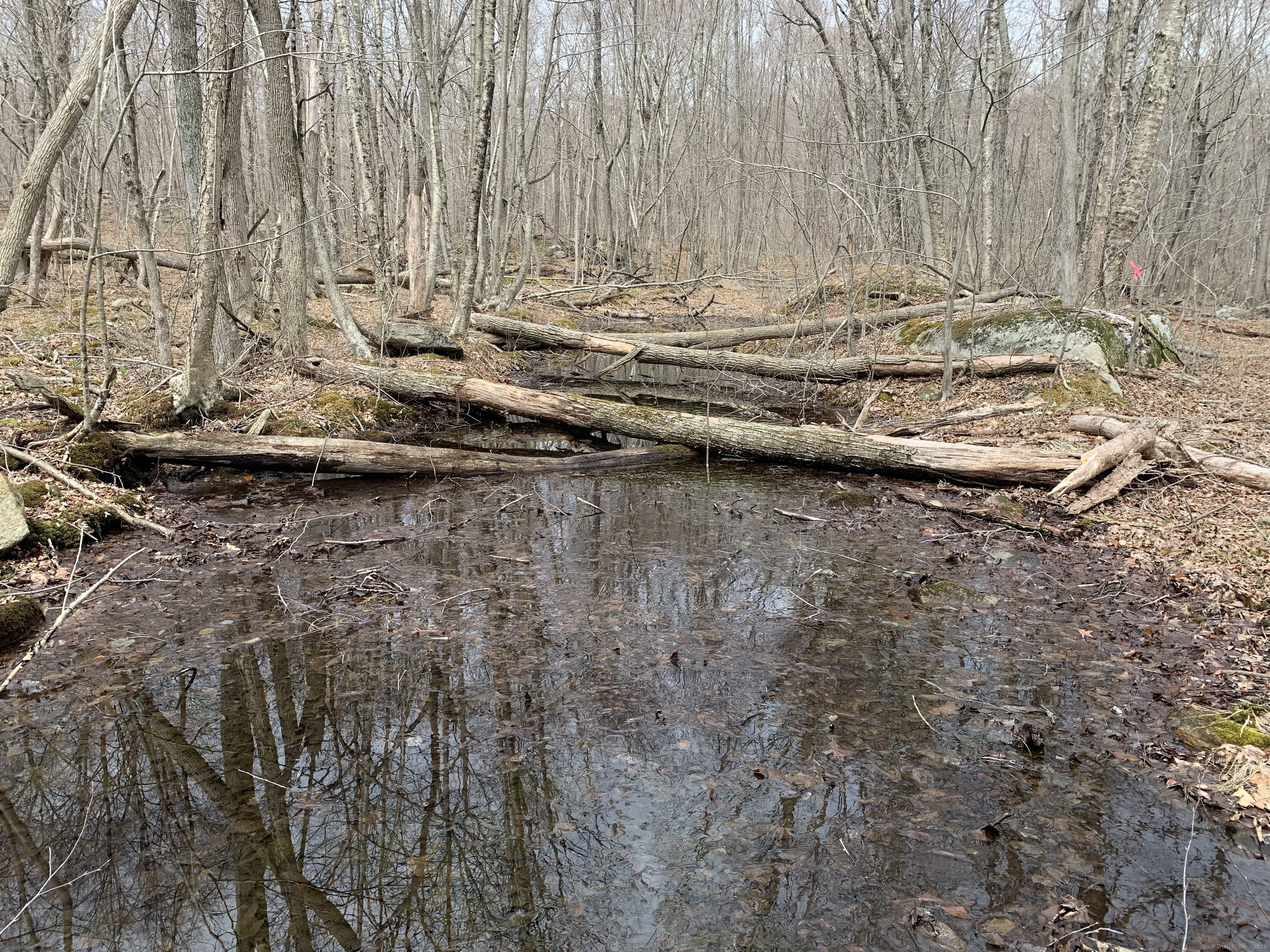Crystal Lake Road, Ellington, Connecticut image 9