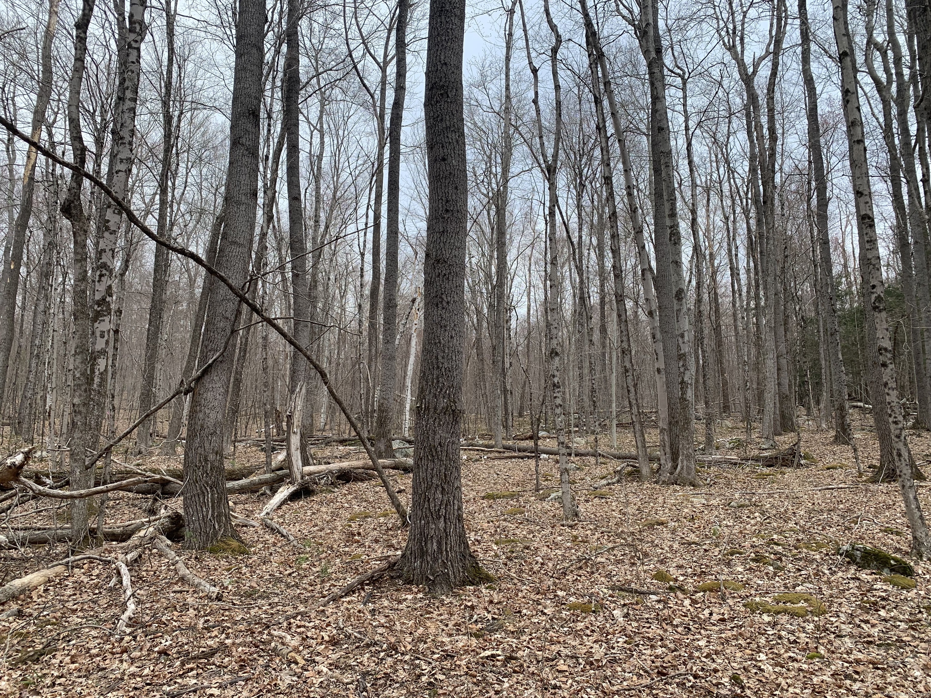 Crystal Lake Road, Ellington, Connecticut image 3
