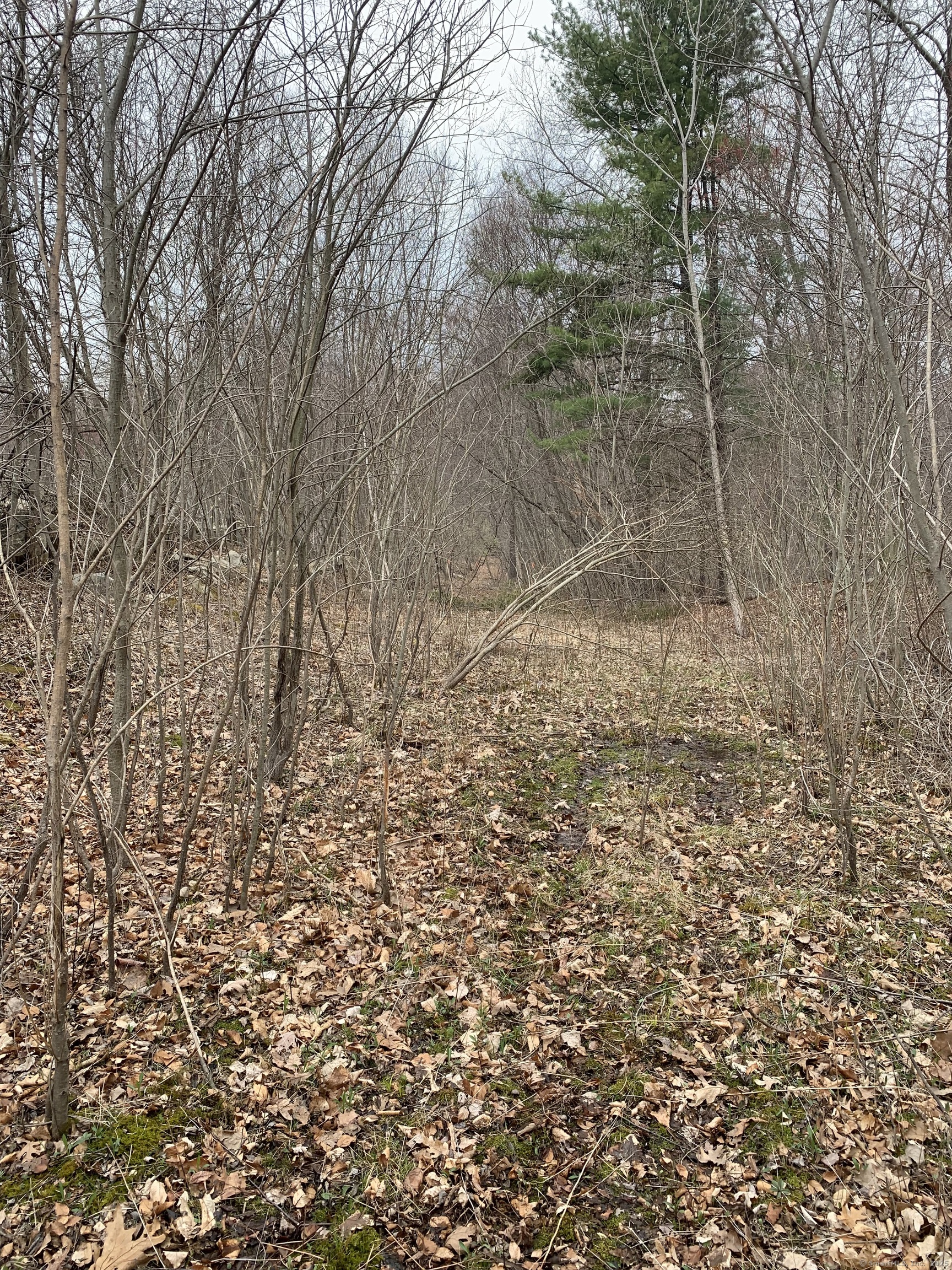 Crystal Lake Road, Ellington, Connecticut image 8