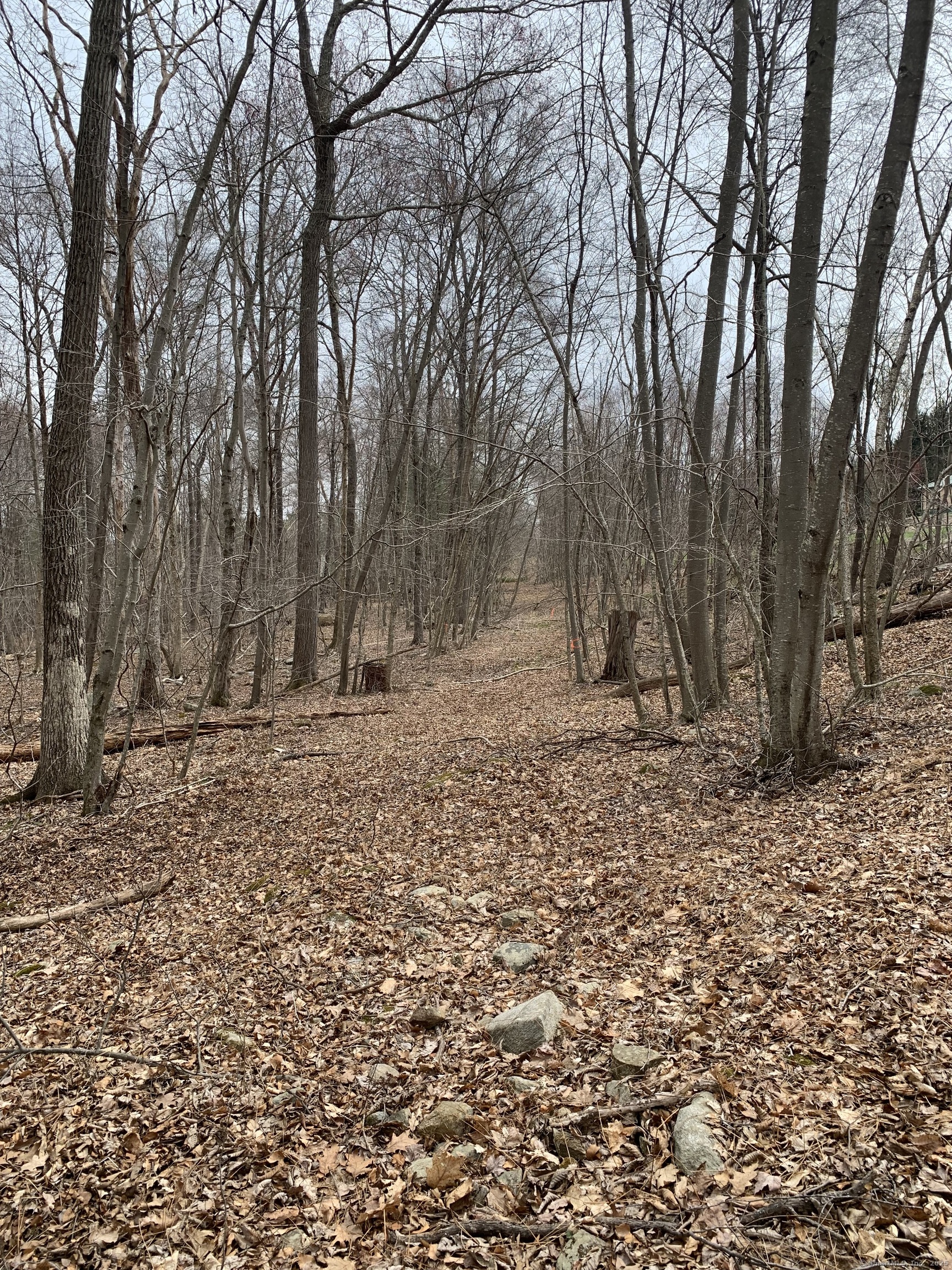 Crystal Lake Road, Ellington, Connecticut image 7
