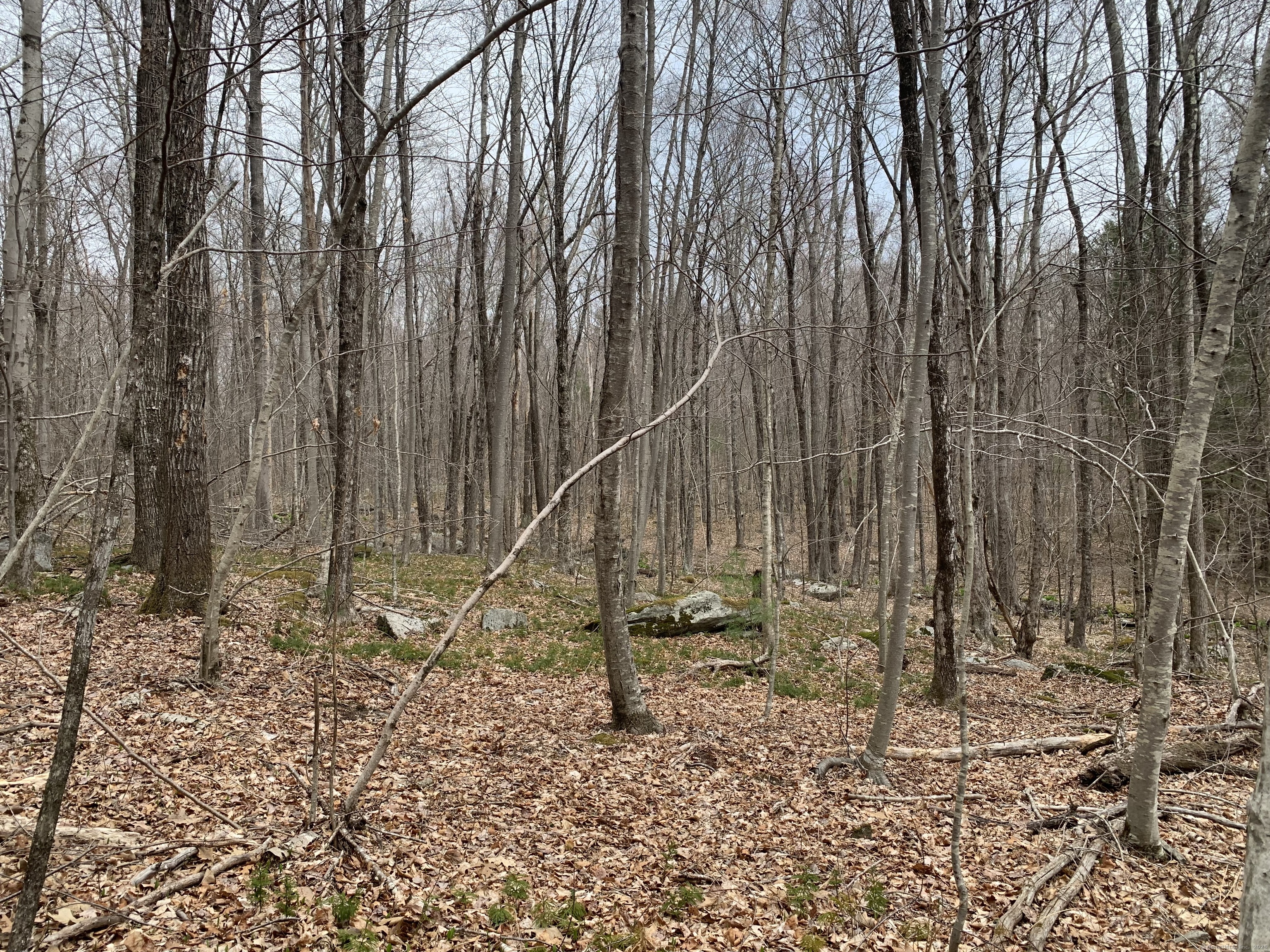 Crystal Lake Road, Ellington, Connecticut image 4