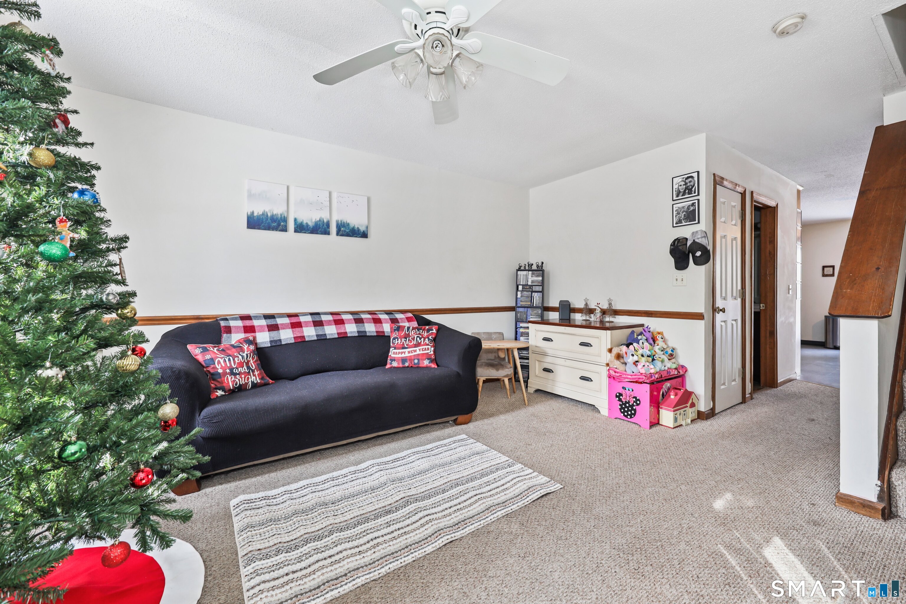 13 Holt Street APT 49