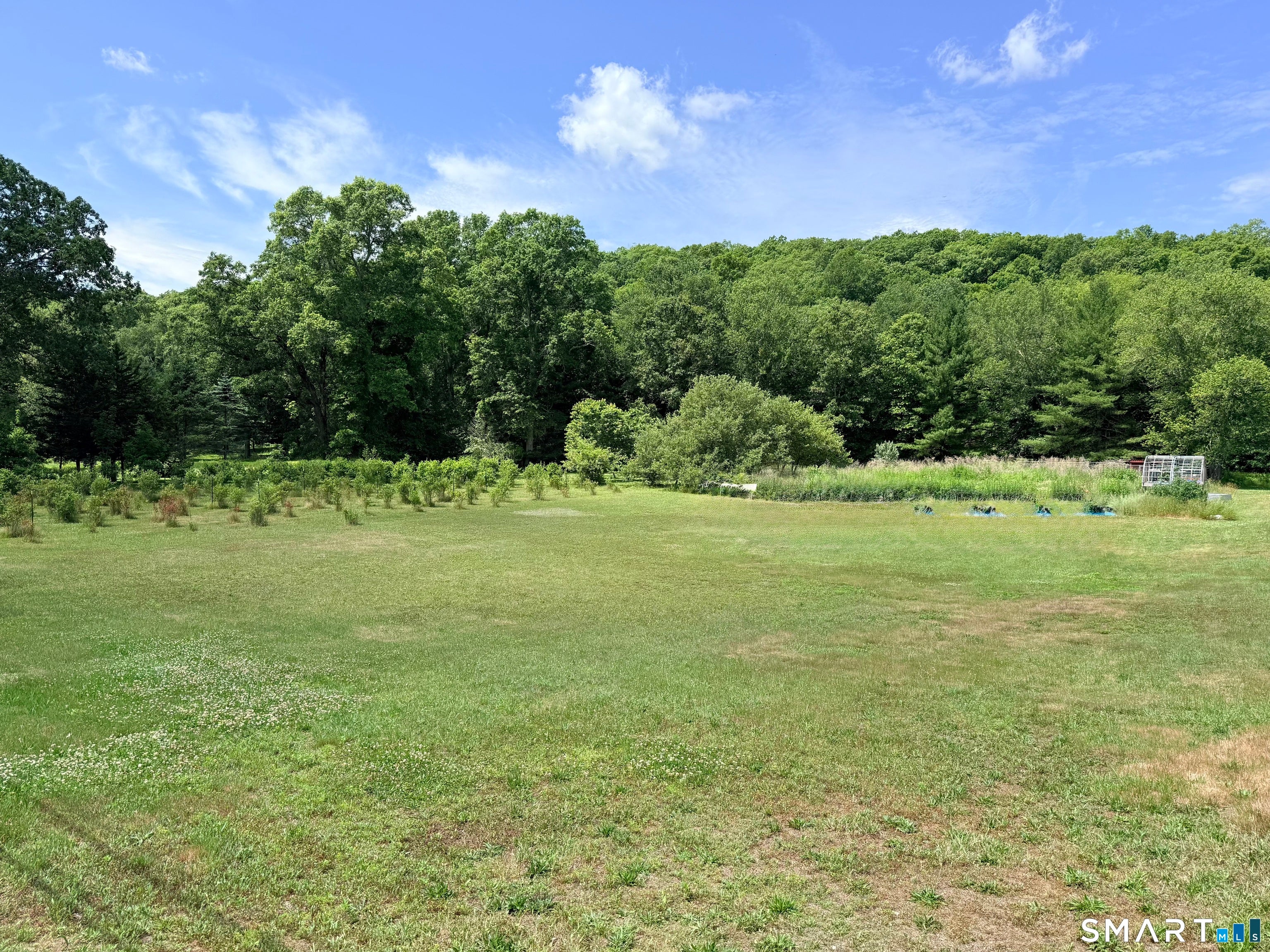 113 Starkweather Road