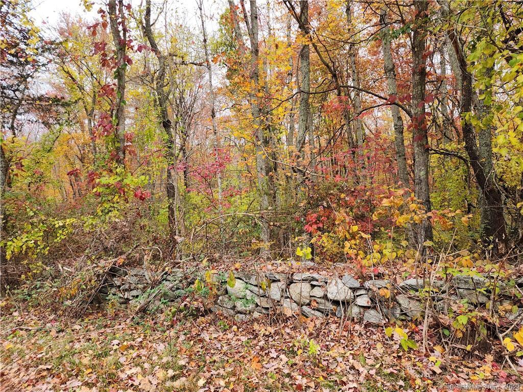 Reilly Road, Hampton, Connecticut image 1