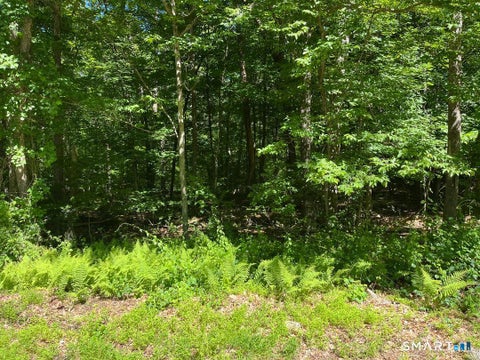 Photo of Middle Turnpike #LOT 24, Mansfield, CT 06250 (MLS # 24182356)