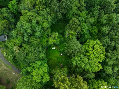 Tiny photo for 72-C Walnut Street, Seymour, CT 06483 (MLS # 24200063)