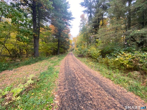 Tiny photo for 196 Hageman Shean Road, Goshen, CT 06756 (MLS # 24215210)