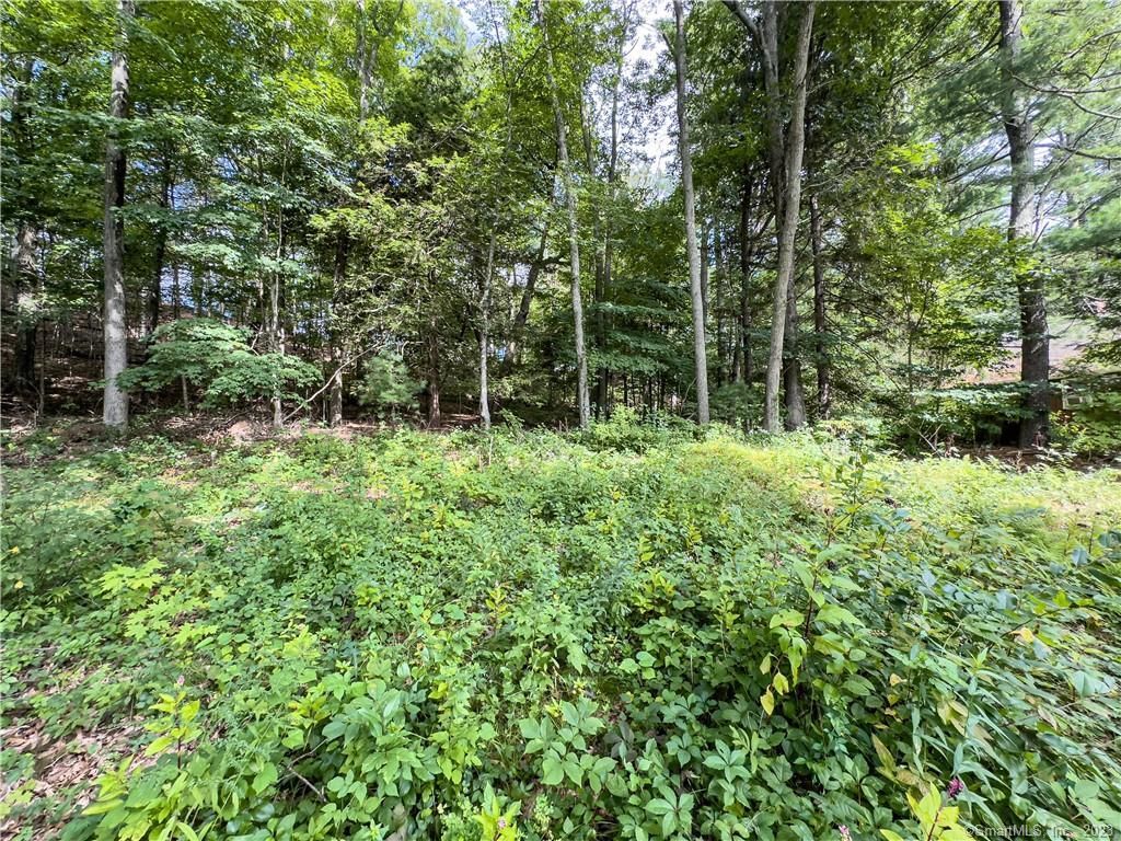 19 Shore Road, Voluntown, Connecticut image 9