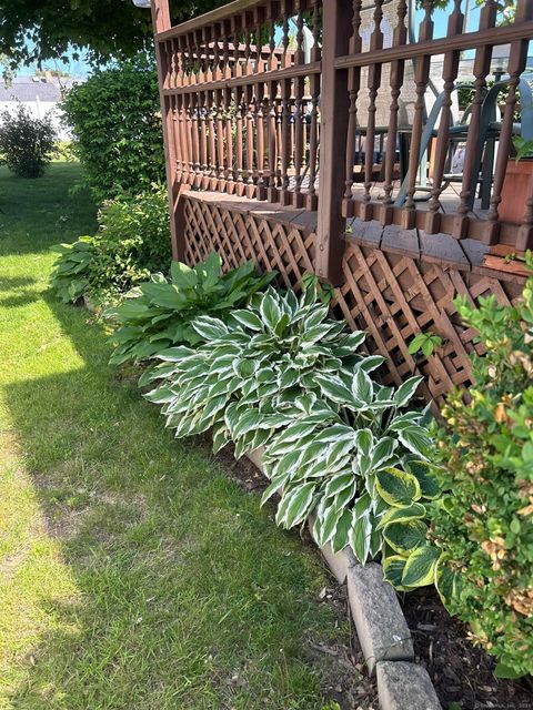 Tiny photo for 39 Forbes Place, East Haven, CT 06512 (MLS # 24137401)