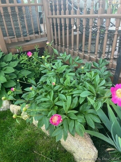 Tiny photo for 39 Forbes Place, East Haven, CT 06512 (MLS # 24137401)