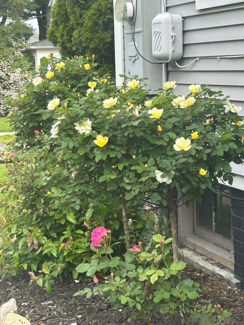 Tiny photo for 39 Forbes Place, East Haven, CT 06512 (MLS # 24137401)