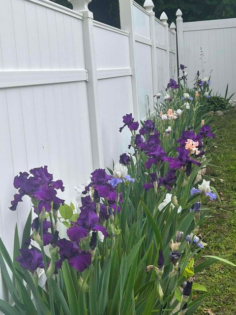 Tiny photo for 39 Forbes Place, East Haven, CT 06512 (MLS # 24137401)