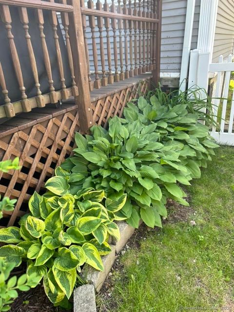 Tiny photo for 39 Forbes Place, East Haven, CT 06512 (MLS # 24137401)