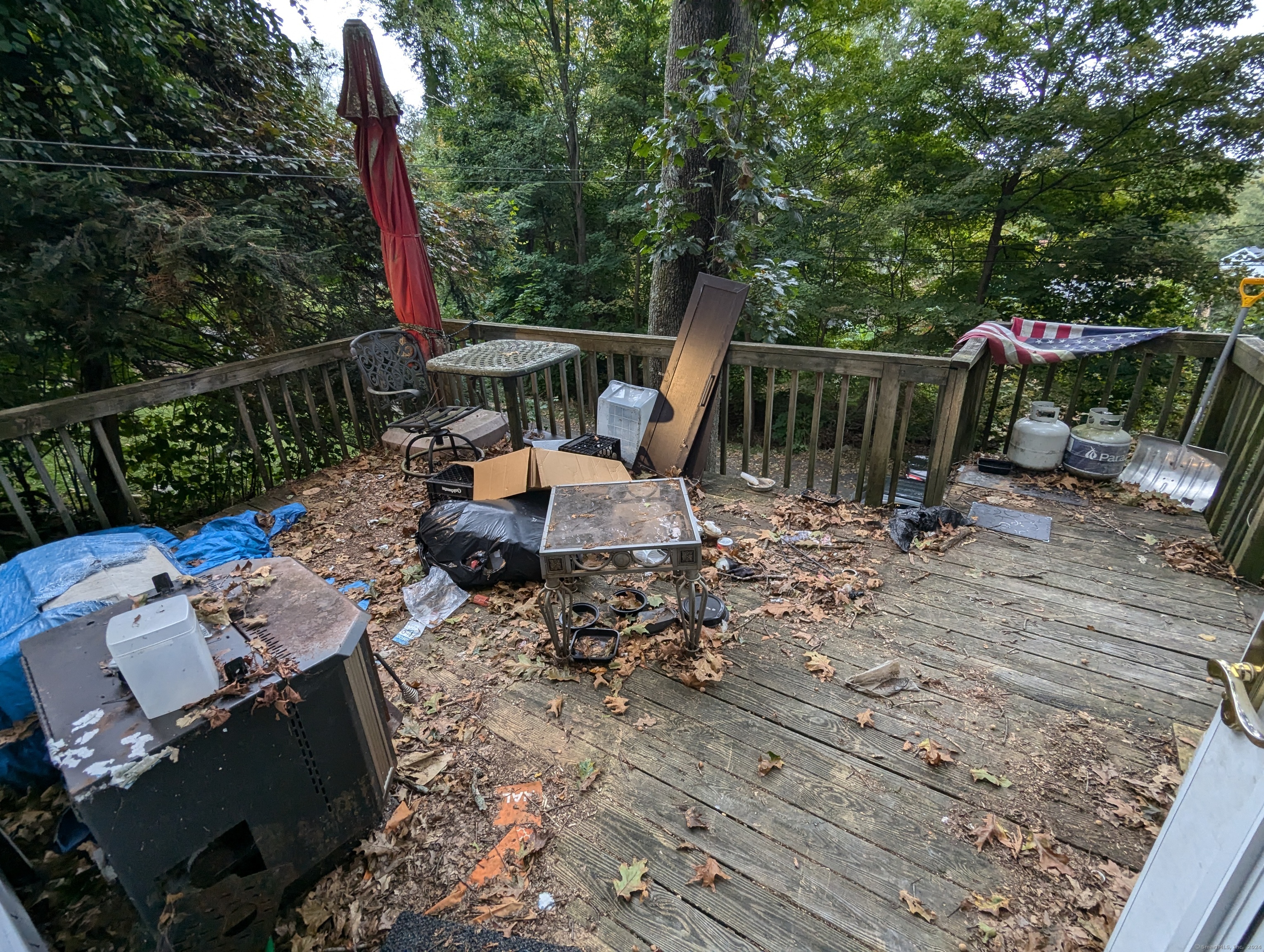 3 Orchard Drive, Danbury, Connecticut image 8