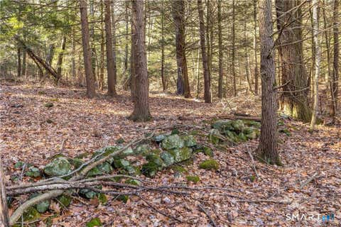 Tiny photo for 235 Granville Road, Granby, CT 06060 (MLS # 24199357)