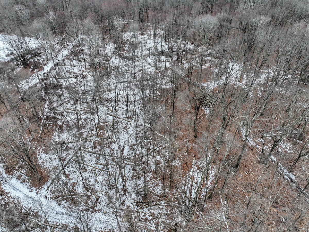 26 Judds Bridge Road, New Milford, Connecticut image 5