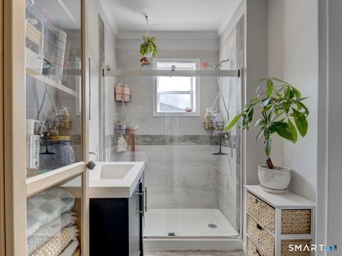 Tiny photo for 19 Hickory Street, Plymouth, CT 06786 (MLS # 24167500)