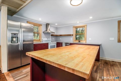 Tiny photo for 55 Park Lane E, New Milford, CT 06776 (MLS # 24167094)