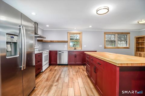 Tiny photo for 55 Park Lane E, New Milford, CT 06776 (MLS # 24167094)