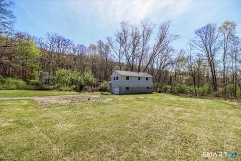 Tiny photo for 55 Park Lane E, New Milford, CT 06776 (MLS # 24167094)