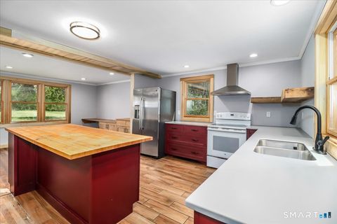 Tiny photo for 55 Park Lane E, New Milford, CT 06776 (MLS # 24167094)