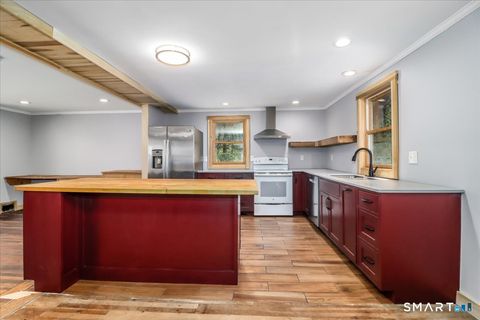 Tiny photo for 55 Park Lane E, New Milford, CT 06776 (MLS # 24167094)