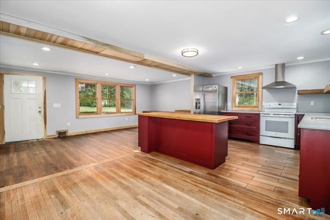 Tiny photo for 55 Park Lane E, New Milford, CT 06776 (MLS # 24167094)