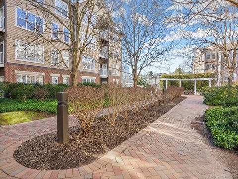 Tiny photo for 35 W Broad Street #211, Stamford, CT 06902 (MLS # 24150061)