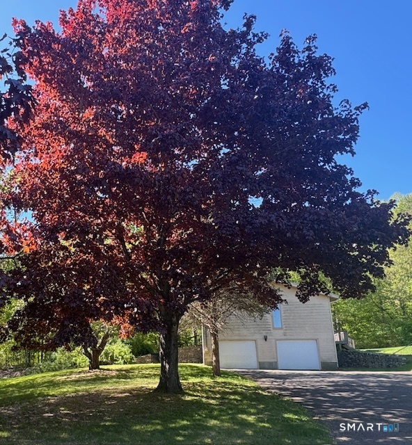 21 Maple Vale Drive