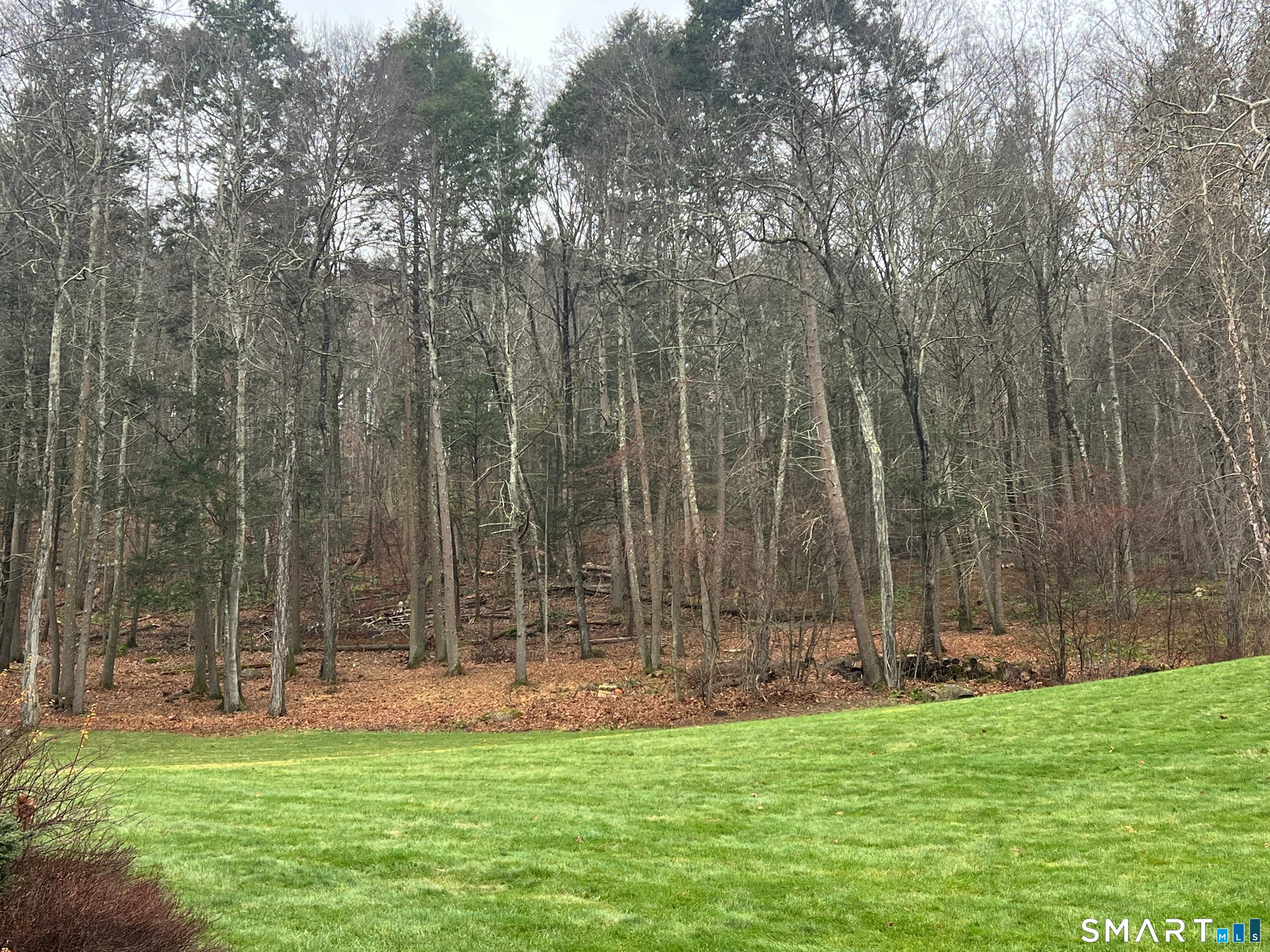 41 Long River Road