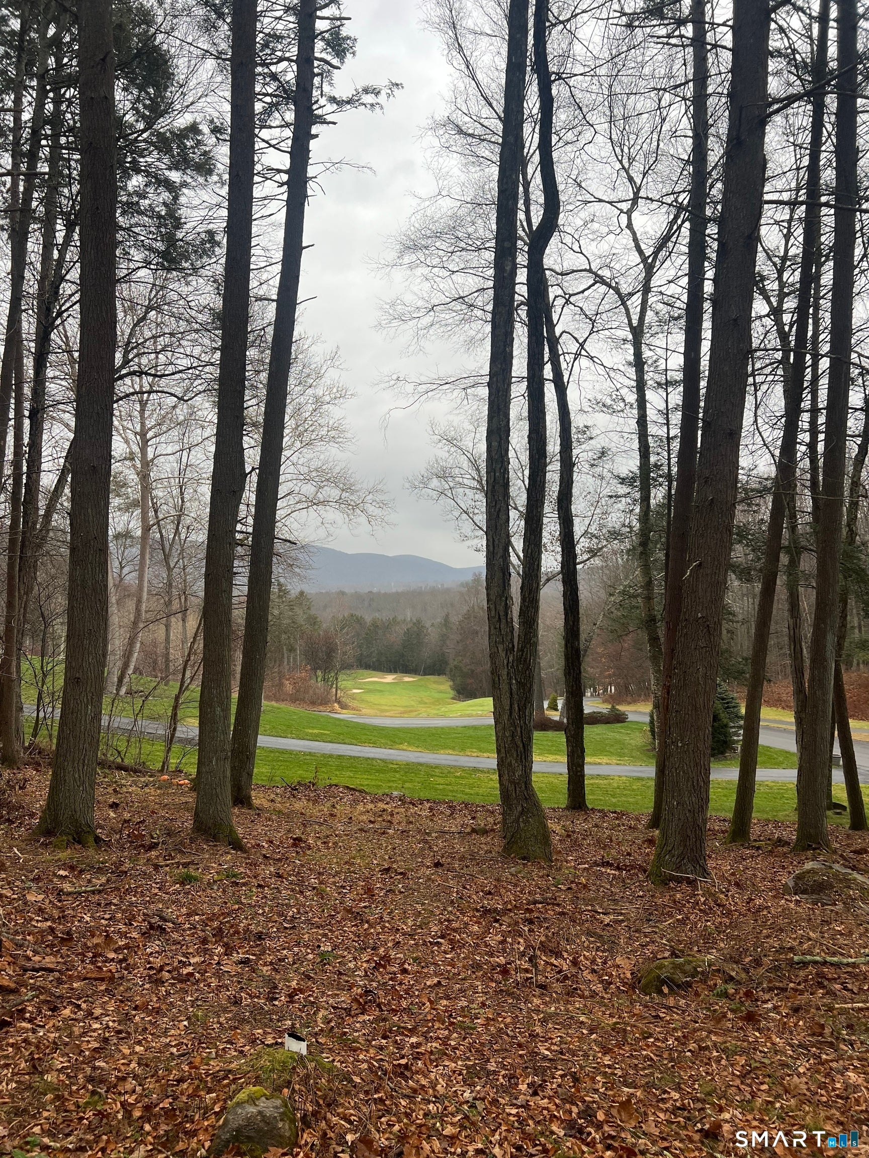 41 Long River Road