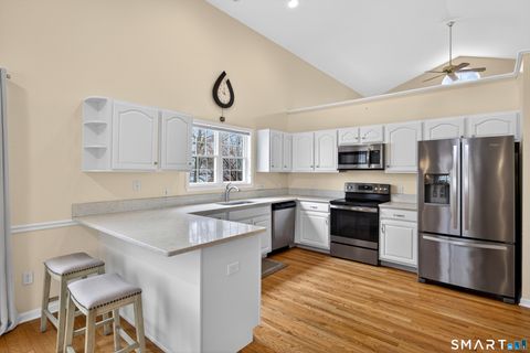 Tiny photo for 19 Pequot Court #19, Monroe, CT 06468 (MLS # 24164758)