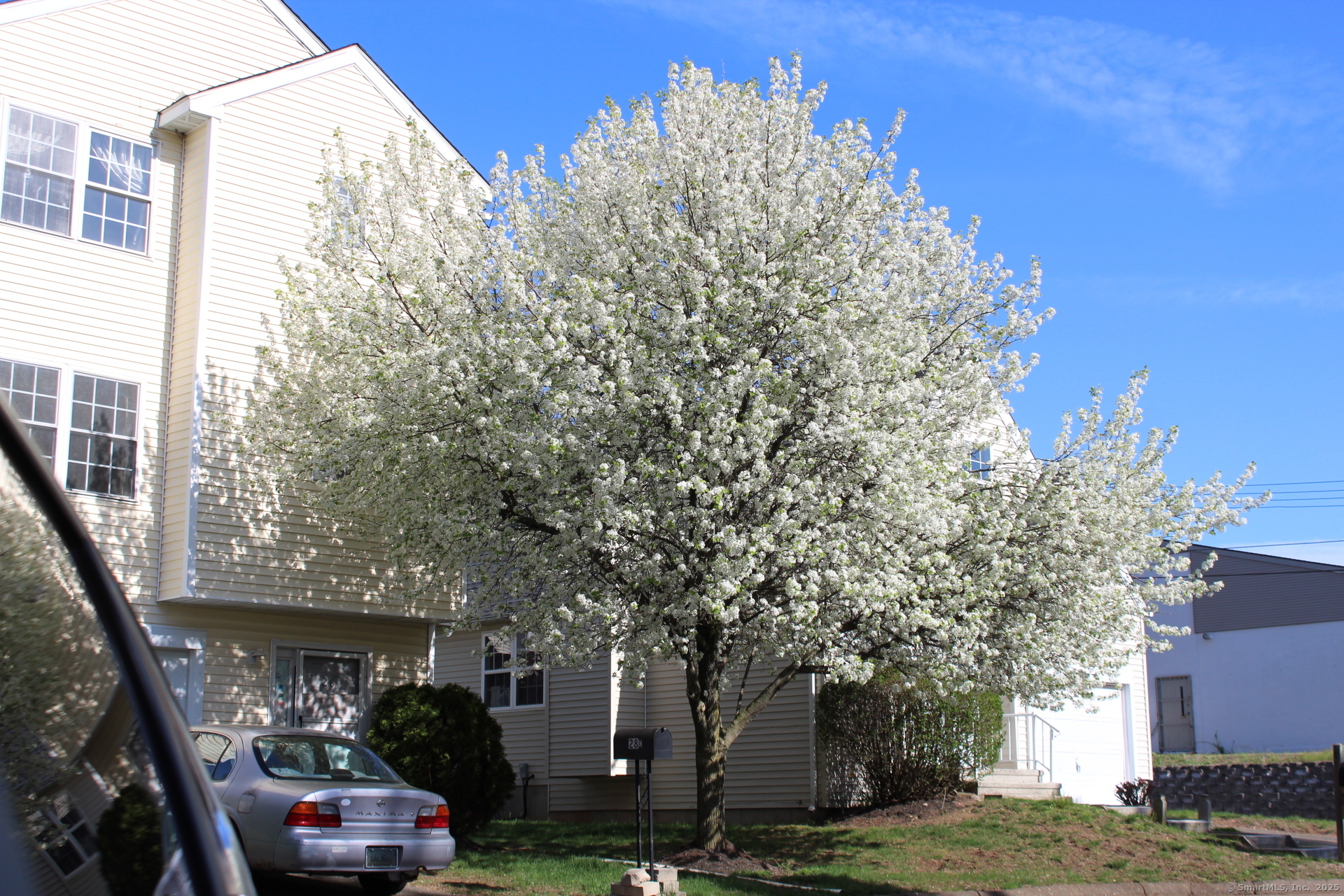 2390 State Street #APT 1F, Hamden, Connecticut image 19