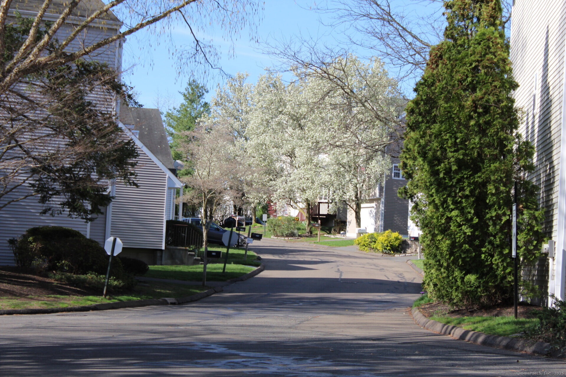 2390 State Street #APT 1F, Hamden, Connecticut image 3