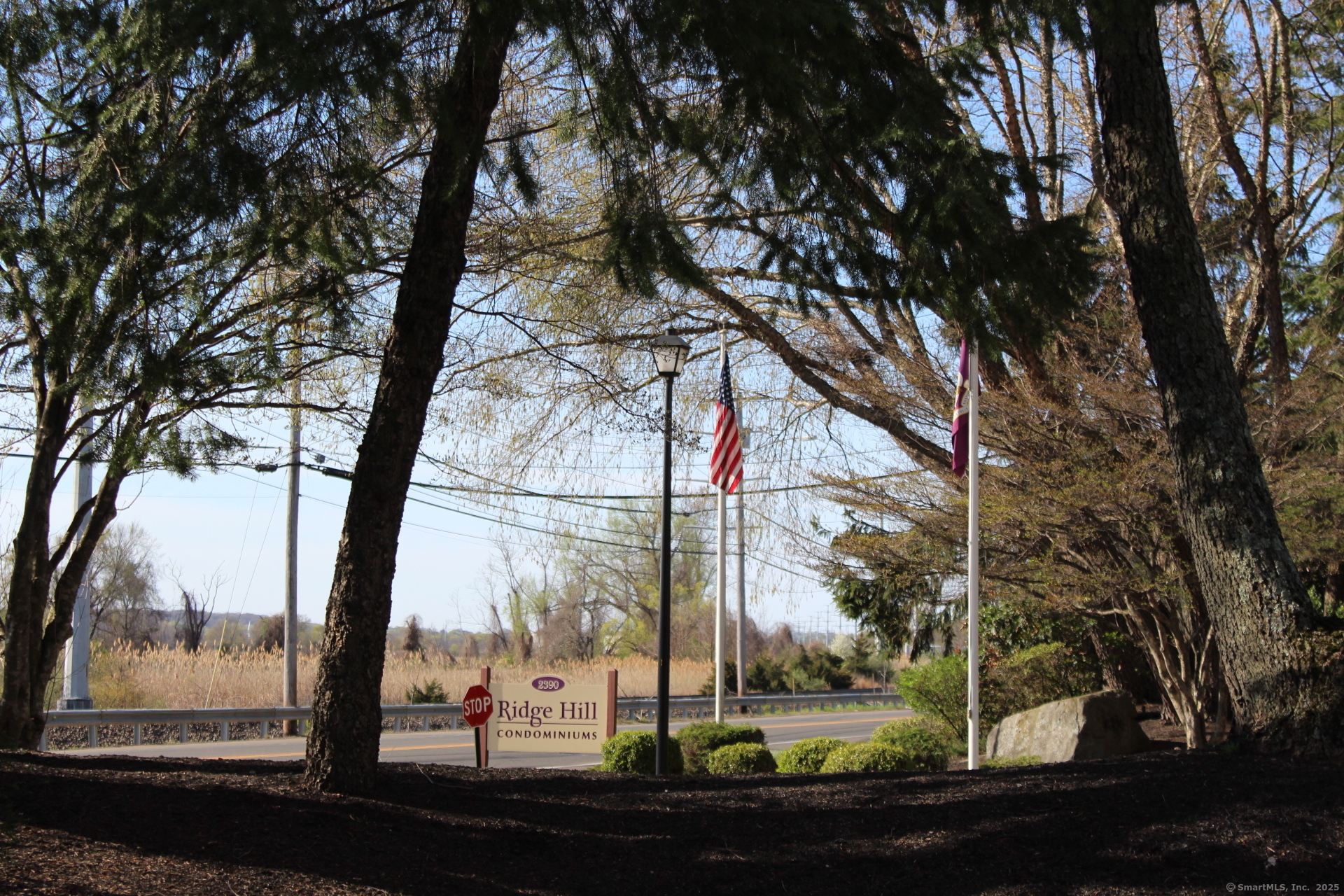 2390 State Street #APT 1F, Hamden, Connecticut image 2