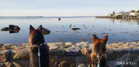 Tiny photo for 117 Water Street #1, Stonington, CT 06378 (MLS # 24157165)