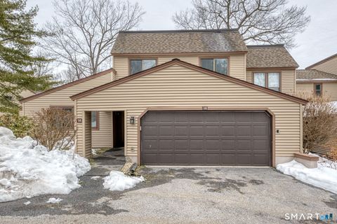 Photo of 14 Walnut Lane #14, Avon, CT 06001 (MLS # 24154898)