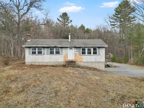 Photo of 38 Schofield Road, Willington, CT 06279 (MLS # 24162692)