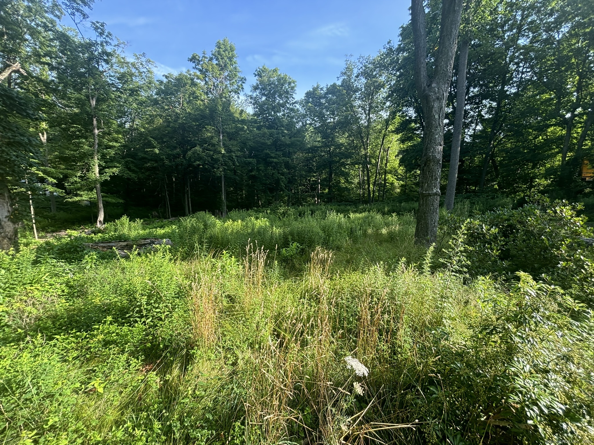 130 Union City Road, Prospect, Connecticut image 38