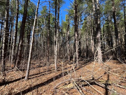 Tiny photo for Providence Road, Brooklyn, CT 06234 (MLS # 24080985)