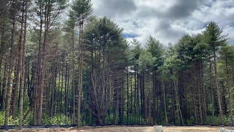 Tiny photo for Providence Road, Brooklyn, CT 06234 (MLS # 24080985)