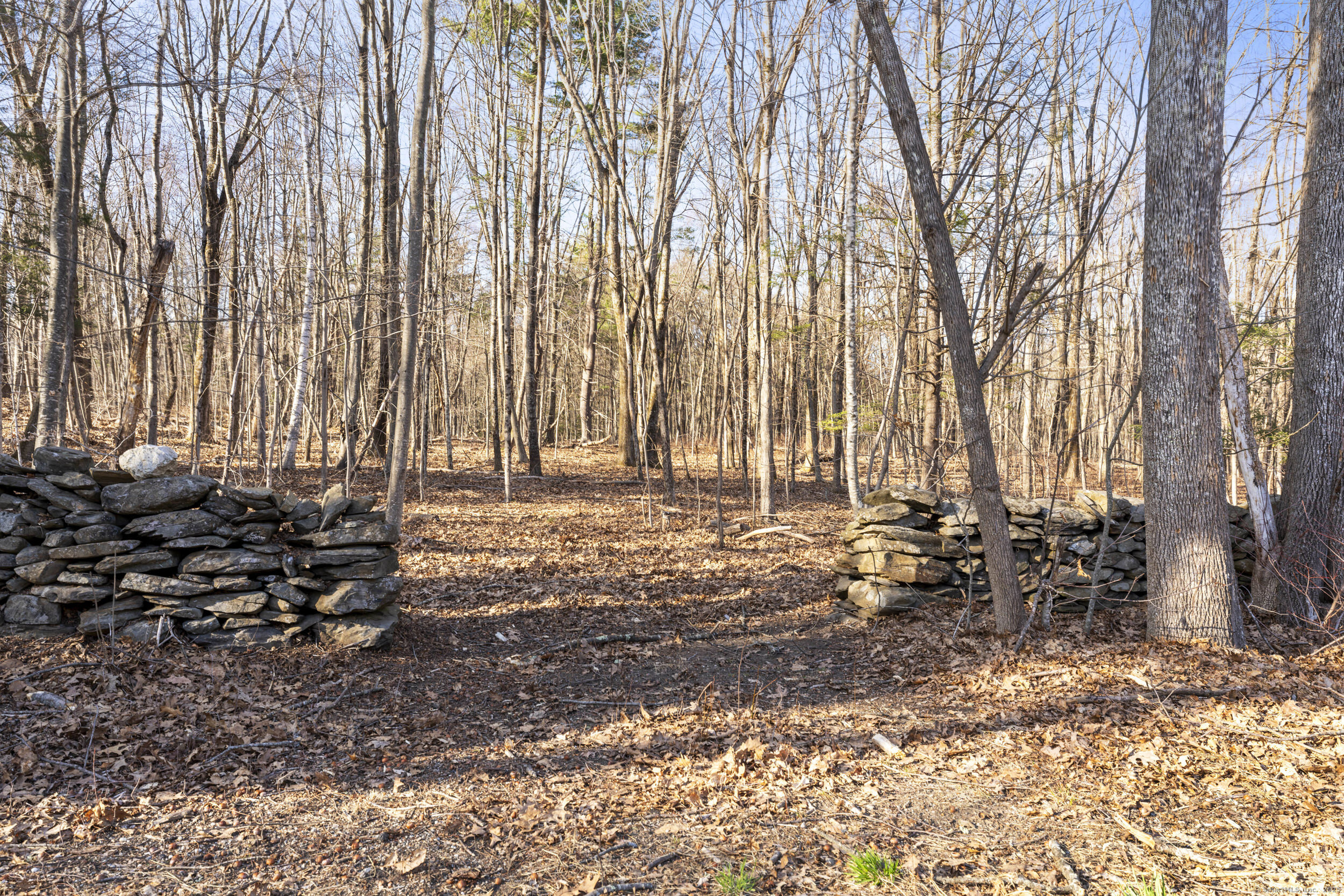 00 Joy Road, Woodstock, Connecticut image 1